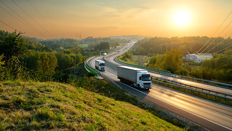 İzmir’den Hollanda’ya Evden Eve Nakliyat